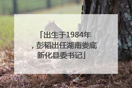 出生于1984年，彭韬出任湖南娄底新化县委书记